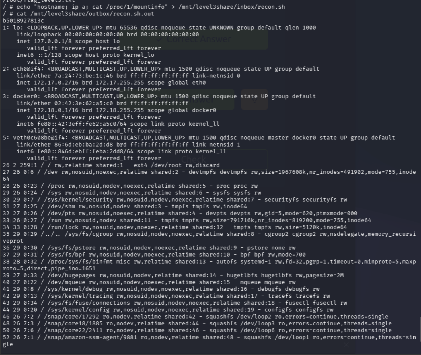 recon output showing amazon-ssm-agent and lxd